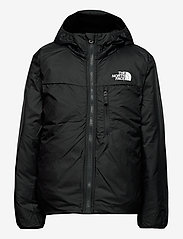the north face b
