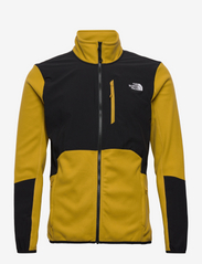 the north face m glacier pro fz