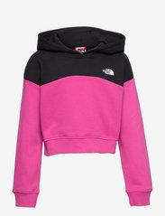 the north face cr