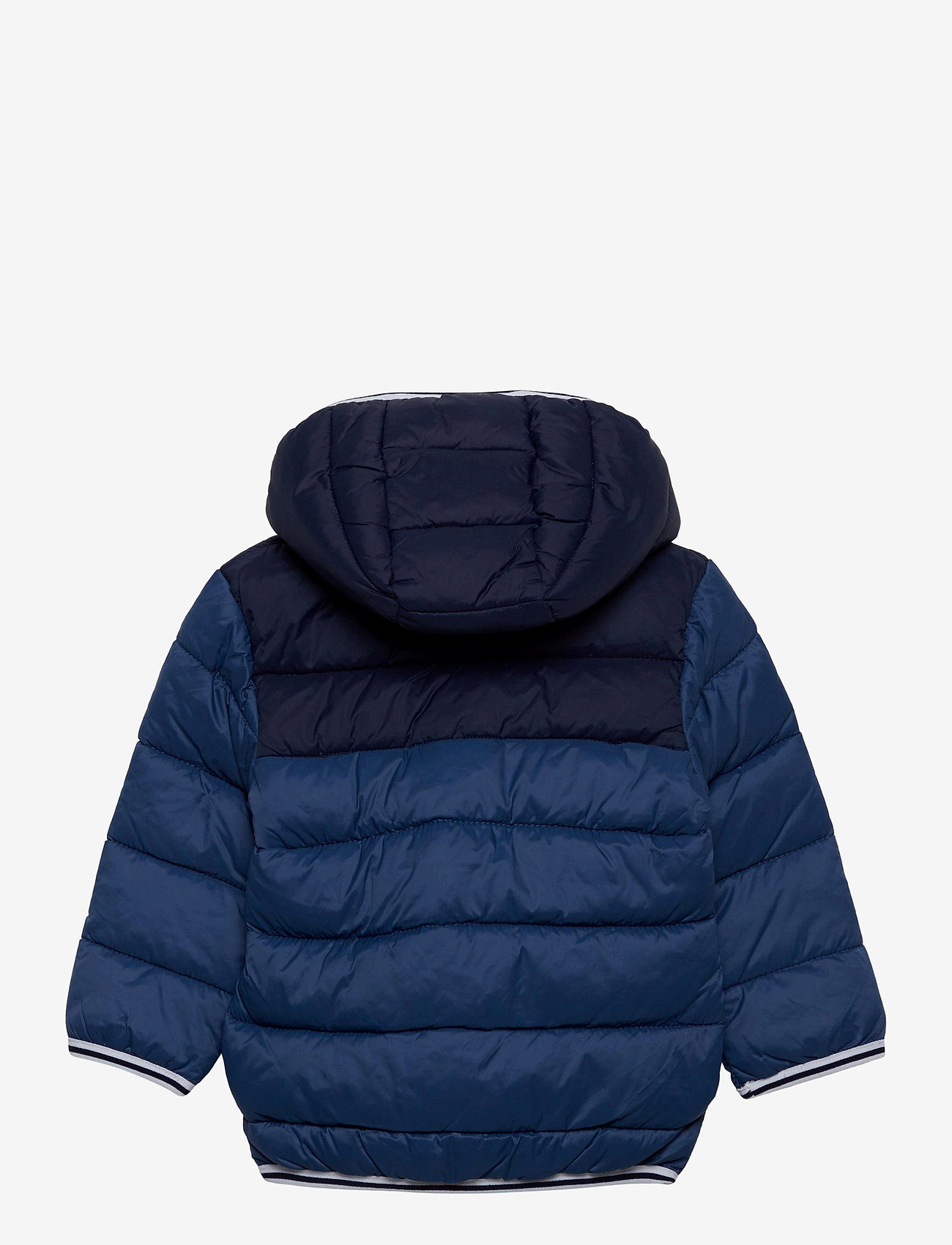 timberland padded jacket