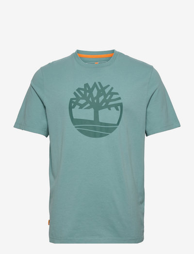 amazon roman costume