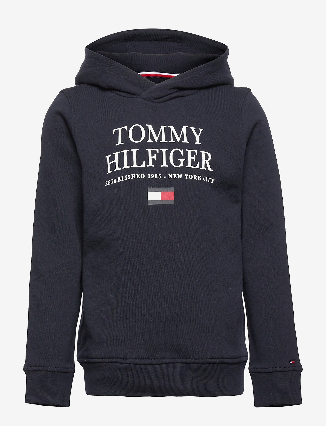 Tommy Hilfiger - TH LOGO HOODIE - hoodies - desert sky - 0