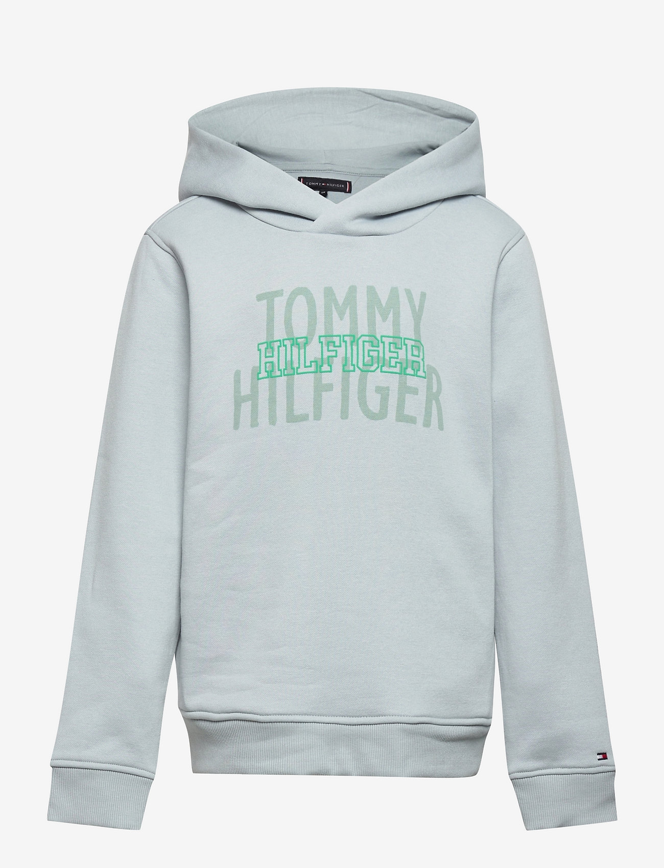 Tommy Hilfiger - HILFIGER OVER PRINT HOODIE - hoodies - cloudy - 0