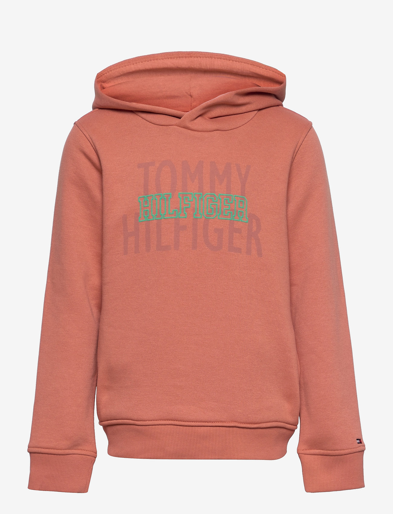 Tommy Hilfiger - HILFIGER OVER PRINT HOODIE - hoodies - copper reef - 0