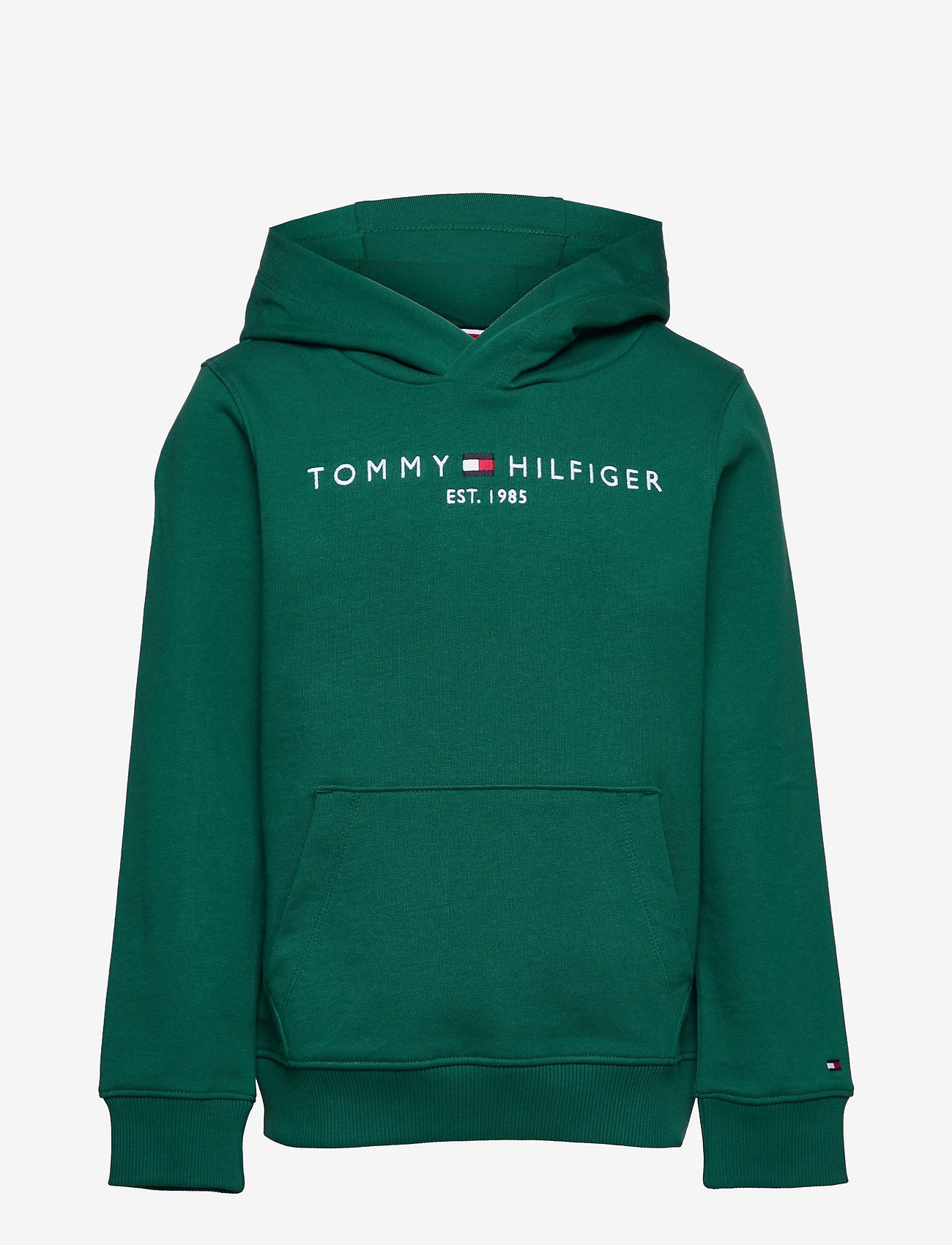tommy hilfiger basic hoodie