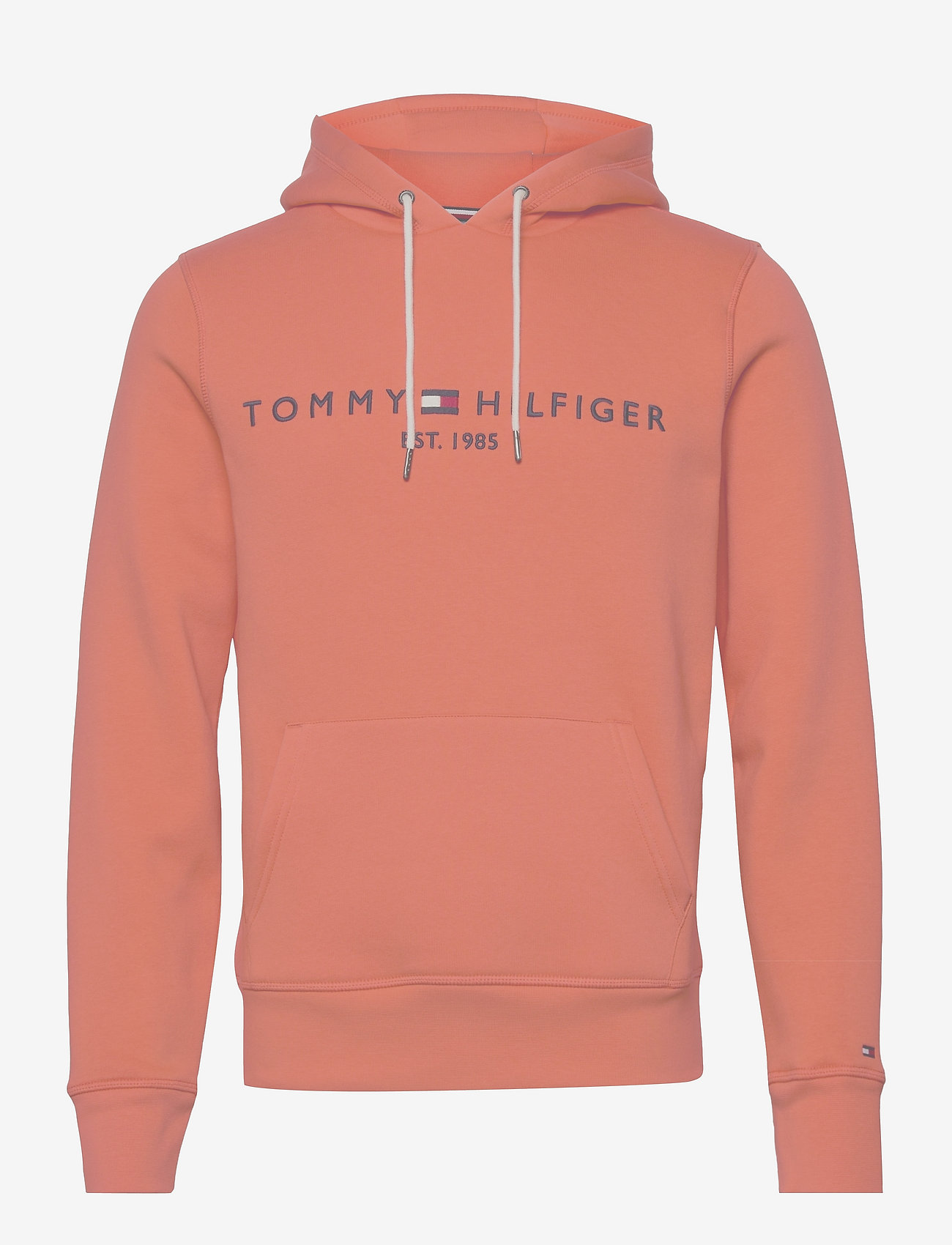 tommy hilfiger tommy logo hoody