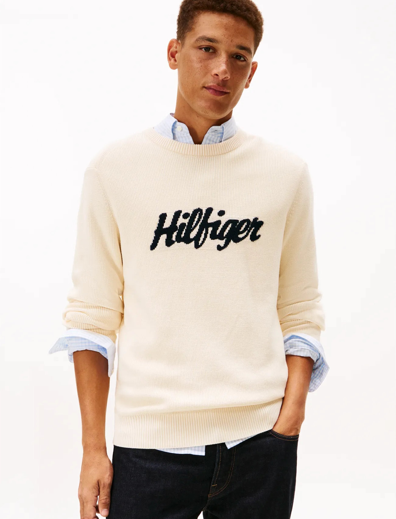 Tommy Hilfiger Seasonal Graphic Cotton Cneck, L, Cream, Strik > Runde Halse, Herre