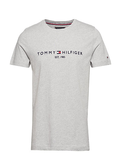 CORE TOMMY LOGO TEE - lyhythihaiset - cloud htr