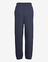 Tommy Jeans - TJW RELAXED HRS BADGE SWEATPANT - kleding - twilight navy - 1