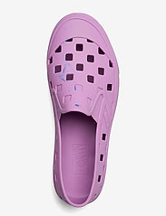 vans trek slip on purple