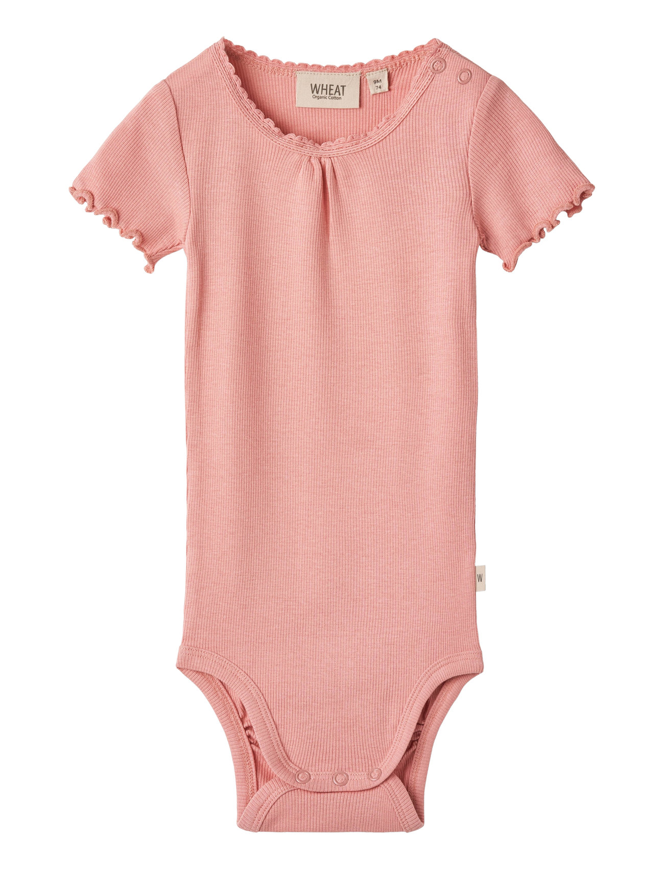 Rib Body S/S Edna Pink Wheat